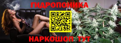 СК Дубна