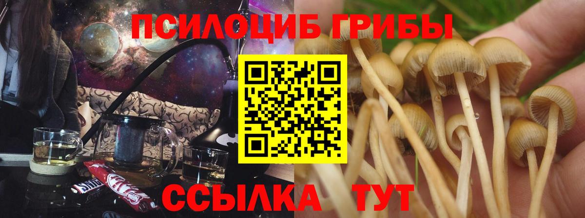 Псилоцибиновые грибы Psilocybine cubensis  Псилоцибиновые грибы мухоморы  что такое наркотик  Вход с VPN  Мурманск 